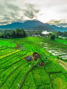 Güzel bir sabah manzarası Endonezya manzara plajı güzellik rengi ve gökyüzü doğal ışığı