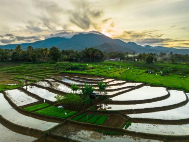 Güzel bir sabah manzarası Endonezya manzara plajı güzellik rengi ve gökyüzü doğal ışığı