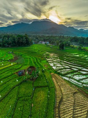 Güzel bir sabah manzarası Endonezya manzara plajı güzellik rengi ve gökyüzü doğal ışığı