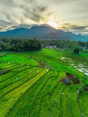 Güzel bir sabah manzarası Endonezya manzara plajı güzellik rengi ve gökyüzü doğal ışığı