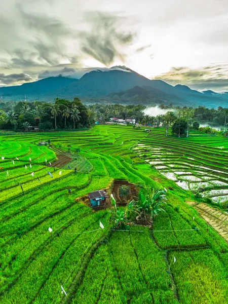 Güzel bir sabah manzarası Endonezya manzara plajı güzellik rengi ve gökyüzü doğal ışığı