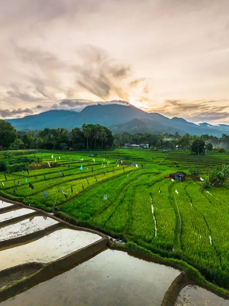 Güzel bir sabah manzarası Endonezya manzara plajı güzellik rengi ve gökyüzü doğal ışığı