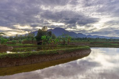 Güzel bir sabah manzarası Endonezya manzara plajı güzellik rengi ve gökyüzü doğal ışığı