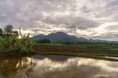 Güzel bir sabah manzarası Endonezya manzara plajı güzellik rengi ve gökyüzü doğal ışığı