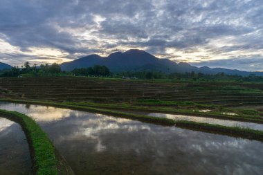 Güzel bir sabah manzarası Endonezya manzara plajı güzellik rengi ve gökyüzü doğal ışığı