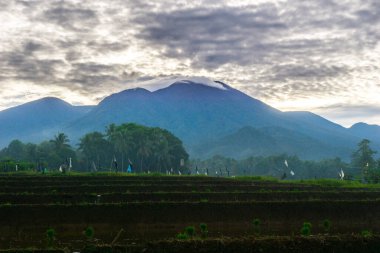 Güzel bir sabah manzarası Endonezya manzara plajı güzellik rengi ve gökyüzü doğal ışığı