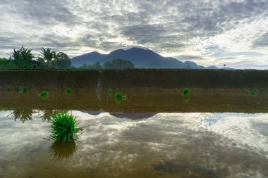 Güzel bir sabah manzarası Endonezya manzara plajı güzellik rengi ve gökyüzü doğal ışığı