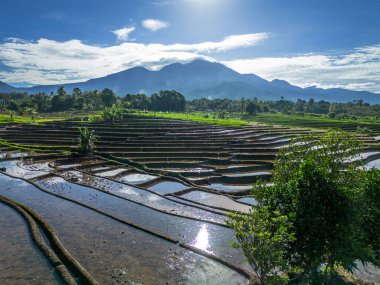 Güzel bir sabah manzarası Endonezya manzara plajı güzellik rengi ve gökyüzü doğal ışığı