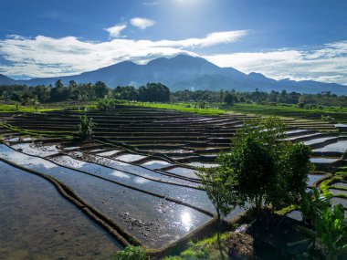 Güzel bir sabah manzarası Endonezya manzara plajı güzellik rengi ve gökyüzü doğal ışığı