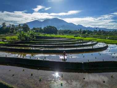 Güzel bir sabah manzarası Endonezya manzara plajı güzellik rengi ve gökyüzü doğal ışığı