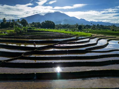 Güzel bir sabah manzarası Endonezya manzara plajı güzellik rengi ve gökyüzü doğal ışığı