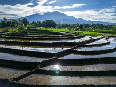 Güzel bir sabah manzarası Endonezya manzara plajı güzellik rengi ve gökyüzü doğal ışığı