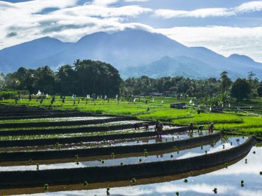 Güzel bir sabah manzarası Endonezya manzara plajı güzellik rengi ve gökyüzü doğal ışığı