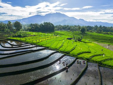 Güzel bir sabah manzarası Endonezya manzara plajı güzellik rengi ve gökyüzü doğal ışığı