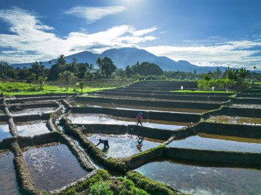 Güzel bir sabah manzarası Endonezya manzara plajı güzellik rengi ve gökyüzü doğal ışığı