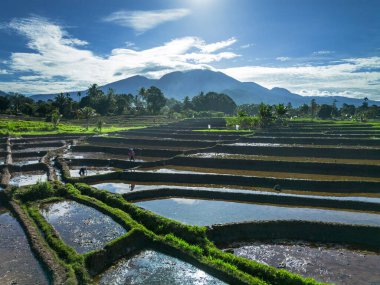 Güzel bir sabah manzarası Endonezya manzara plajı güzellik rengi ve gökyüzü doğal ışığı