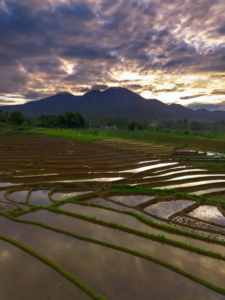 Güzel bir sabah manzarası Endonezya manzara plajı güzellik rengi ve gökyüzü doğal ışığı