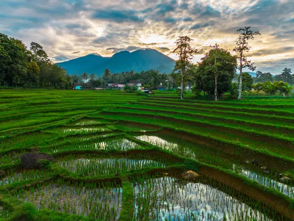Güzel bir sabah manzarası Endonezya manzara plajı güzellik rengi ve gökyüzü doğal ışığı