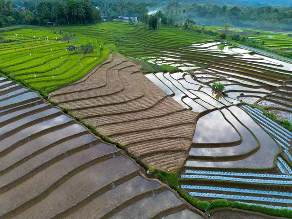 Güzel bir sabah manzarası Endonezya manzara plajı güzellik rengi ve gökyüzü doğal ışığı