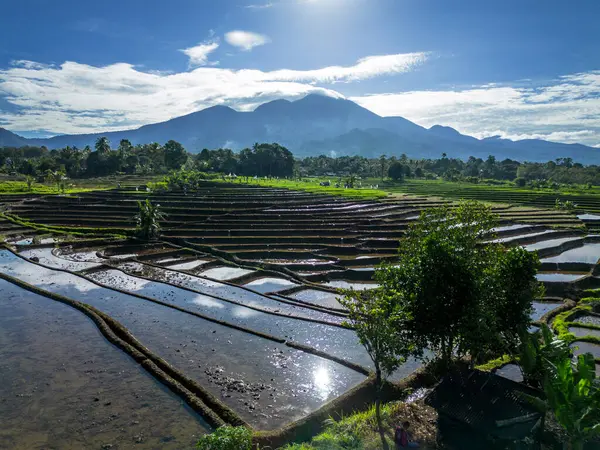 Güzel bir sabah manzarası Endonezya manzara plajı güzellik rengi ve gökyüzü doğal ışığı