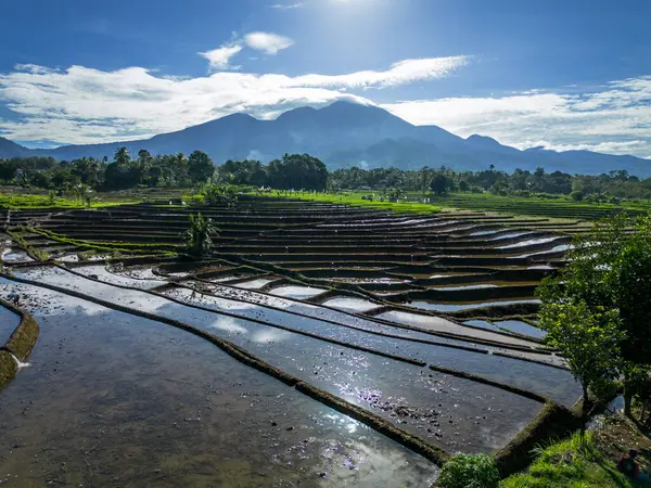 Güzel bir sabah manzarası Endonezya manzara plajı güzellik rengi ve gökyüzü doğal ışığı