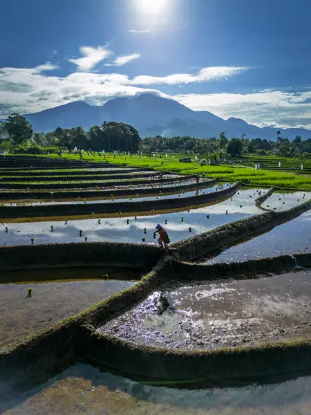 Güzel bir sabah manzarası Endonezya manzara plajı güzellik rengi ve gökyüzü doğal ışığı