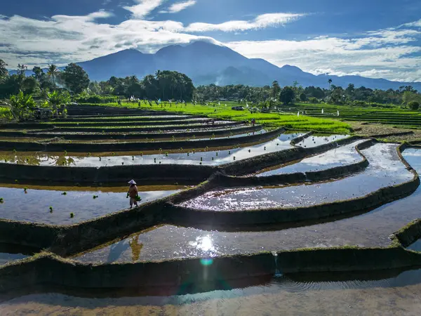 Güzel bir sabah manzarası Endonezya manzara plajı güzellik rengi ve gökyüzü doğal ışığı