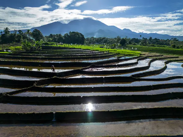 Güzel bir sabah manzarası Endonezya manzara plajı güzellik rengi ve gökyüzü doğal ışığı