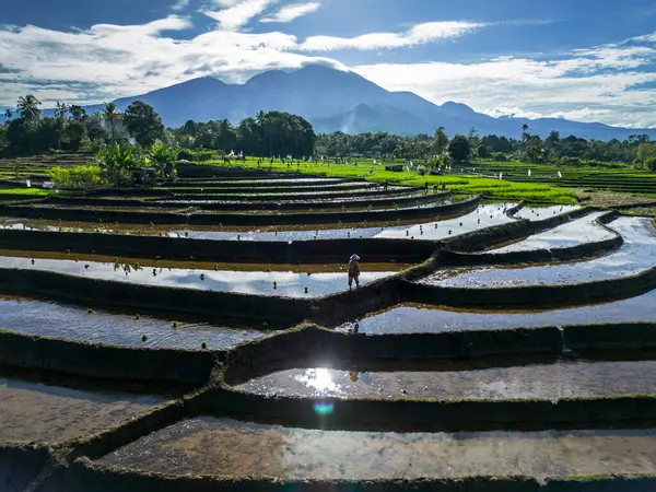 Güzel bir sabah manzarası Endonezya manzara plajı güzellik rengi ve gökyüzü doğal ışığı