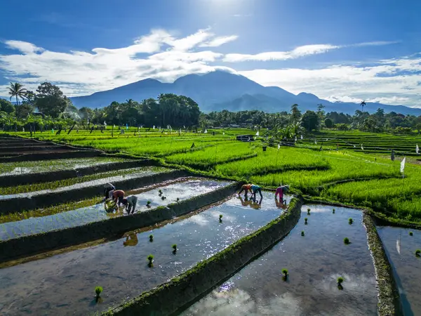 Güzel bir sabah manzarası Endonezya manzara plajı güzellik rengi ve gökyüzü doğal ışığı