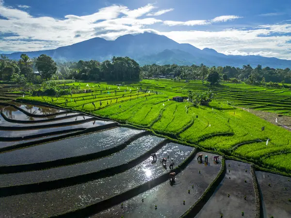 Güzel bir sabah manzarası Endonezya manzara plajı güzellik rengi ve gökyüzü doğal ışığı