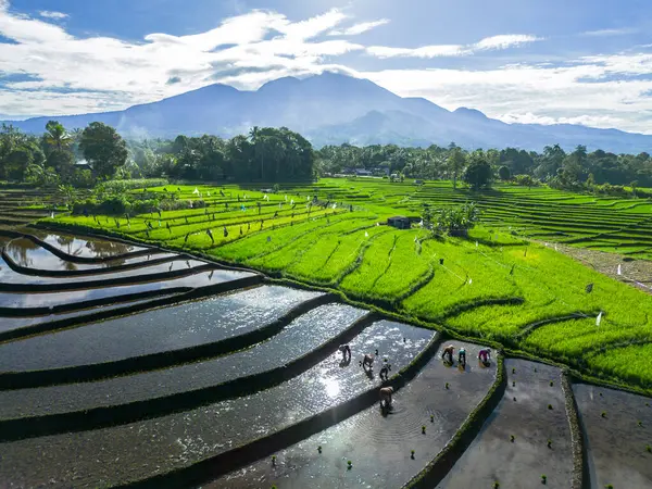 Güzel bir sabah manzarası Endonezya manzara plajı güzellik rengi ve gökyüzü doğal ışığı