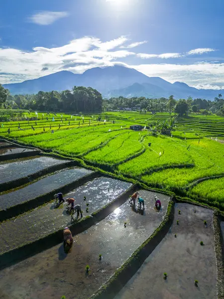 Güzel bir sabah manzarası Endonezya manzara plajı güzellik rengi ve gökyüzü doğal ışığı