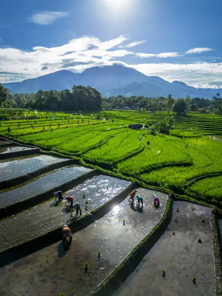 Güzel bir sabah manzarası Endonezya manzara plajı güzellik rengi ve gökyüzü doğal ışığı
