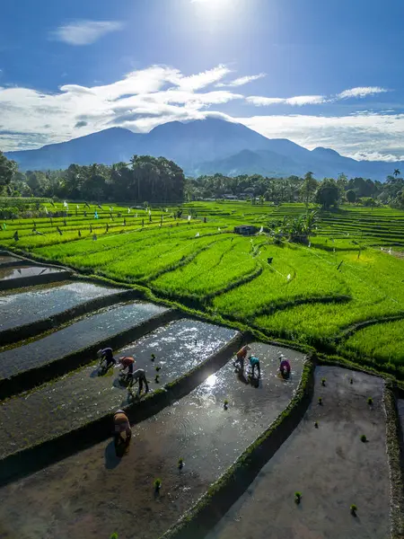 Güzel bir sabah manzarası Endonezya manzara plajı güzellik rengi ve gökyüzü doğal ışığı