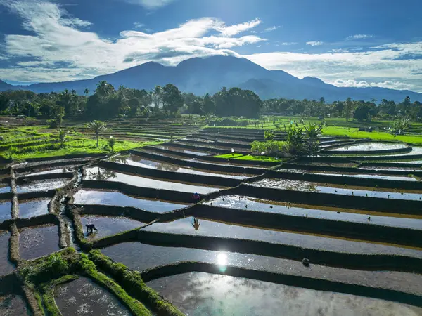 Güzel bir sabah manzarası Endonezya manzara plajı güzellik rengi ve gökyüzü doğal ışığı