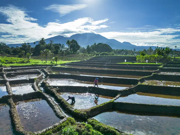 Güzel bir sabah manzarası Endonezya manzara plajı güzellik rengi ve gökyüzü doğal ışığı