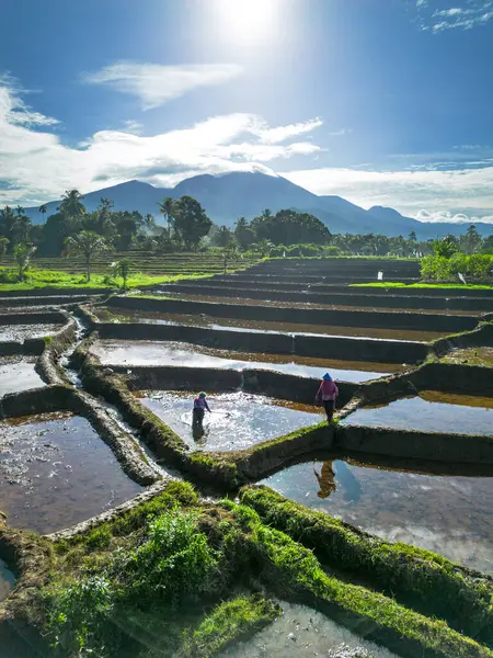 Güzel bir sabah manzarası Endonezya manzara plajı güzellik rengi ve gökyüzü doğal ışığı