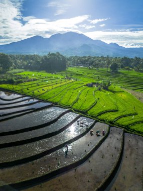 Güzel bir sabah manzarası Endonezya manzara plajı güzellik rengi ve gökyüzü doğal ışığı