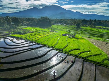 Güzel bir sabah manzarası Endonezya manzara plajı güzellik rengi ve gökyüzü doğal ışığı