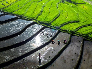 Güzel bir sabah manzarası Endonezya manzara plajı güzellik rengi ve gökyüzü doğal ışığı