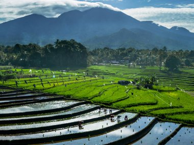 Güzel bir sabah manzarası Endonezya manzara plajı güzellik rengi ve gökyüzü doğal ışığı