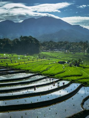 Güzel bir sabah manzarası Endonezya manzara plajı güzellik rengi ve gökyüzü doğal ışığı