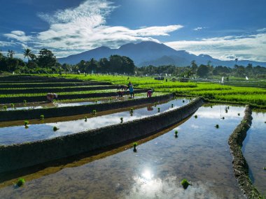 Güzel bir sabah manzarası Endonezya manzara plajı güzellik rengi ve gökyüzü doğal ışığı