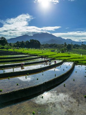 Güzel bir sabah manzarası Endonezya manzara plajı güzellik rengi ve gökyüzü doğal ışığı