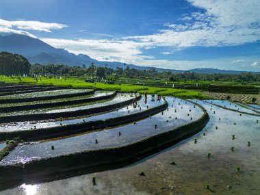Güzel bir sabah manzarası Endonezya manzara plajı güzellik rengi ve gökyüzü doğal ışığı