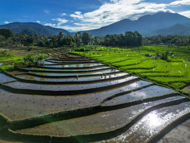 Güzel bir sabah manzarası Endonezya manzara plajı güzellik rengi ve gökyüzü doğal ışığı