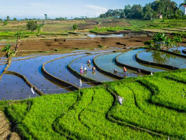 Güzel bir sabah manzarası Endonezya manzara plajı güzellik rengi ve gökyüzü doğal ışığı