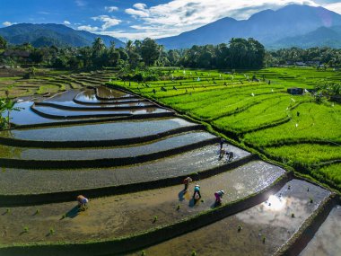 Güzel bir sabah manzarası Endonezya manzara plajı güzellik rengi ve gökyüzü doğal ışığı