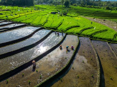 Güzel bir sabah manzarası Endonezya manzara plajı güzellik rengi ve gökyüzü doğal ışığı